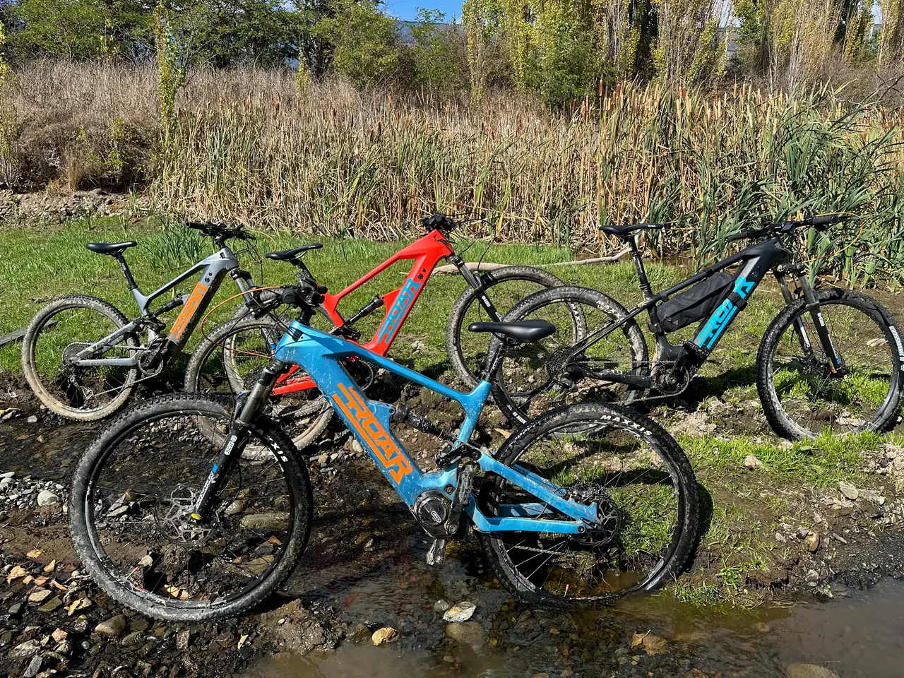 Four Roar eBikes in a shallow creek in Tasmania